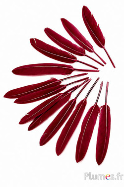 Gans - 10-15 cm - bordeaux